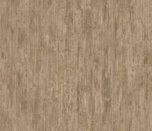 CASADECO_85992535_web