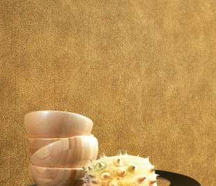 CASADECO_WOODS-WOOD-noisetier-26212313_web