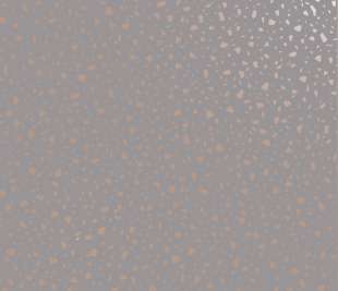 12732-Tarrazzo-Grey-Rosegold-shiny-Product