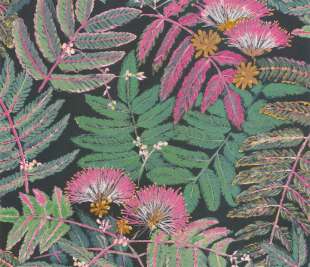 CASADECO_85897490_web