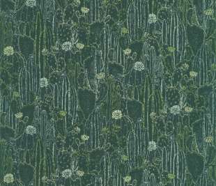 CASADECO_85927429_web