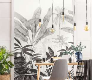 WILD&SECRET_NOIR_102509001_room_web