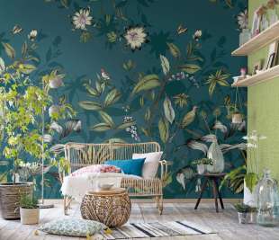 PASSIFLORE-EMERAUDE_87086808_room_web