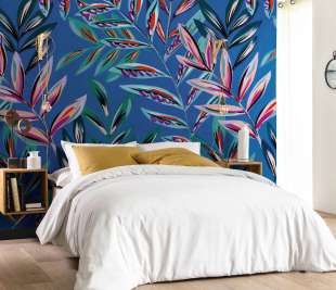 CALATHEA_102598860_room_web