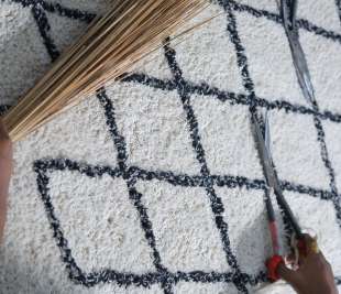 C-BER-CRISS-S_HM_1_web