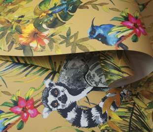 13050-Lemur-Ochre-Rollshot_web