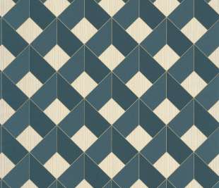 CASELIO_100126062_web (1)