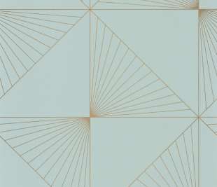 CASELIO_101056000_web