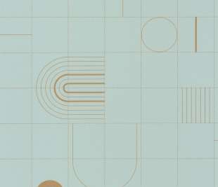 CASELIO_102706027_web (1)