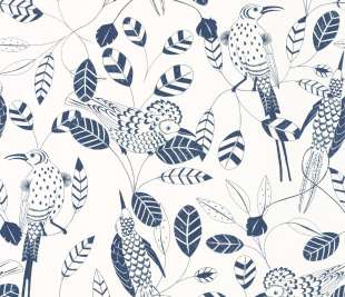 CASELIO_102676222_web