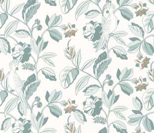 CASELIO_102626023_web