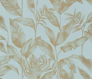 CASELIO_102636002_web