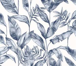 CASELIO_102636225_web