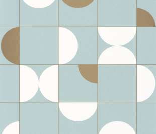 CASELIO_102666028_web