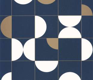 CASELIO_102666225_web (1)