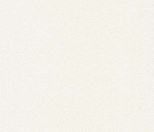 CASELIO_100400011_web (1)