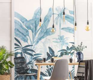 CASELIO_ONB_WILD-AND-SECRET_TEAL-BLUE_102506166_web