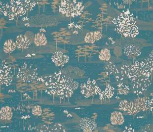 CASELIO_103046244_web