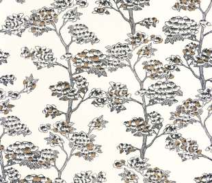 CASELIO_102990922_web