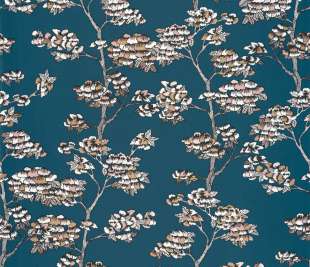 CASELIO_102996252_web