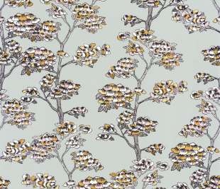 CASELIO_102997032_web