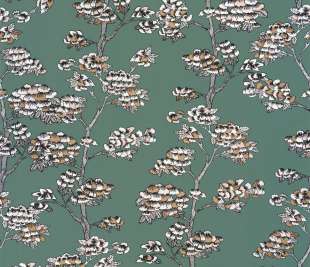 CASELIO_102997142_web