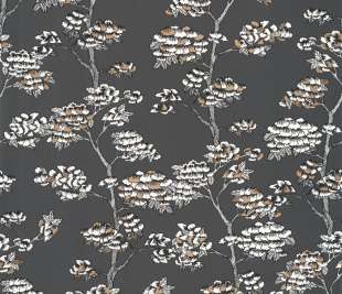 CASELIO_102999062_web