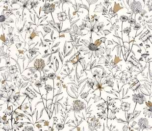 CASELIO_103000215_web