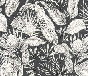 CASELIO_103019039_web