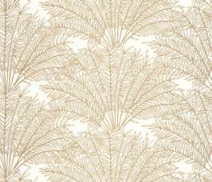 CASELIO_103020248_web