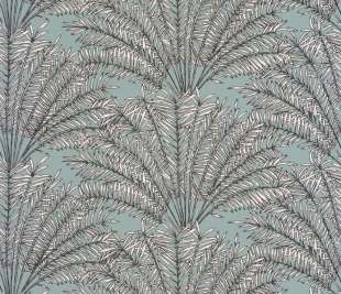 CASELIO_103027058_web