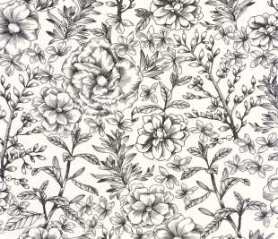 CASELIO_103060913_web