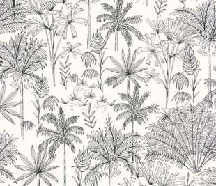 CASELIO_103030911_web