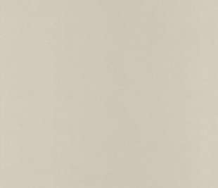 papier-peint-intisse-life-uni-beige-nos-gravures-caselio-ngr64521010