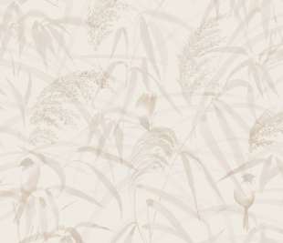 S10109_Anna_Sandstone_image1_web