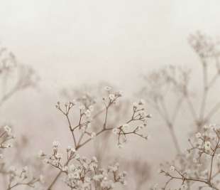 S10130_Julia_blush_image1_web