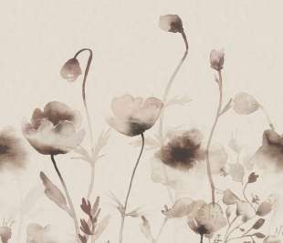 S10107_Morangen_hazel_image1_web