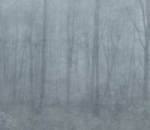 S10106_Skog_misty-blue_image1_web