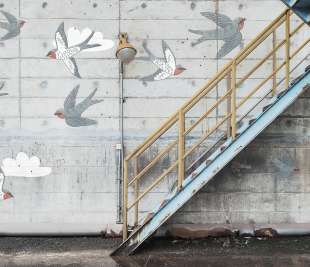 R16962_Stairway-Graffiti-Swallow_Rebel-Walls-14-image1_web