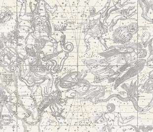 R16922_Star-Map-White_Rebel-Walls-14-image1_web