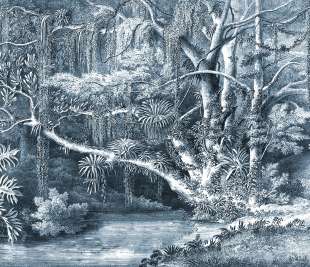 R16852_Secret-Well-Frost_Rebel-Walls-14-image1_web