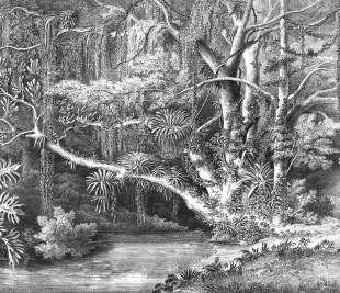 R16851_Secret-Well_Rebel-Walls-14-image1_web