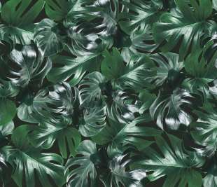 R13042_Welcome-to-the-Jungle_Authentic_Rebel-Walls-14-image1_web