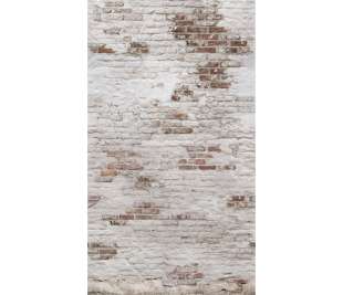 r-dig_orom_ep6101_web