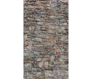 r-dig_orom_a51702_web