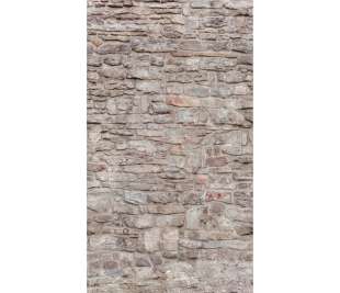 r-dig_orom_a51701_web