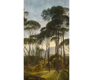 r-dig_orom_a46301_web