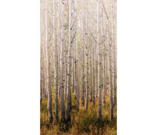 r-dig_orom_a42601_web