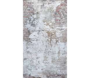 r-dig_orom_a42301_web