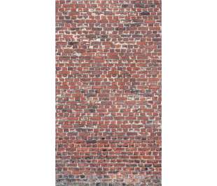 r-dig_orom_a39201_web